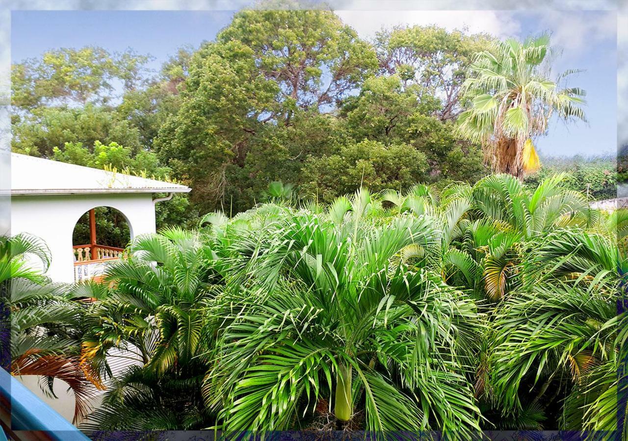 Ti Studio Creole Mahogany Sainte-Anne Esterno foto