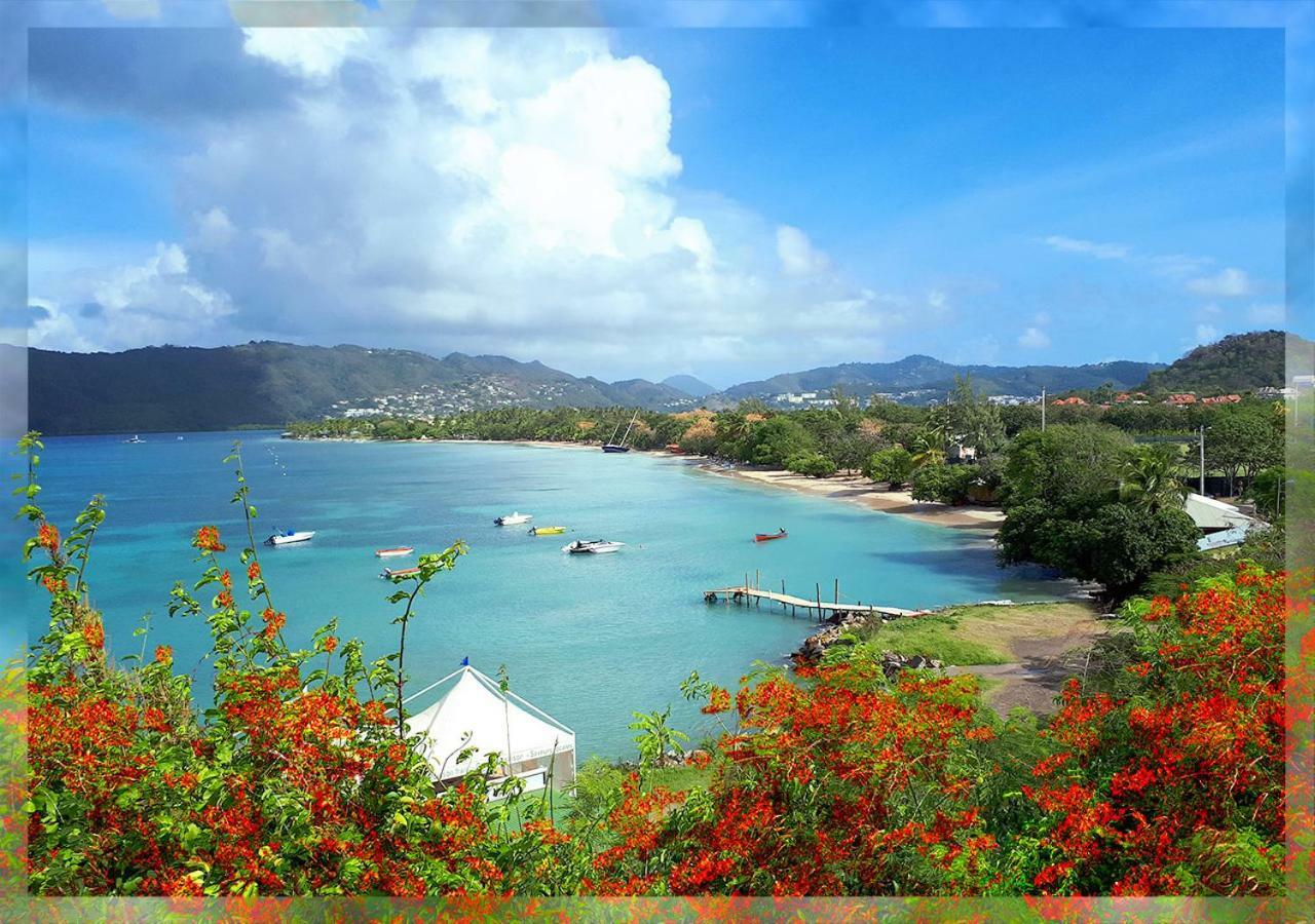 Ti Studio Creole Mahogany Sainte-Anne Esterno foto